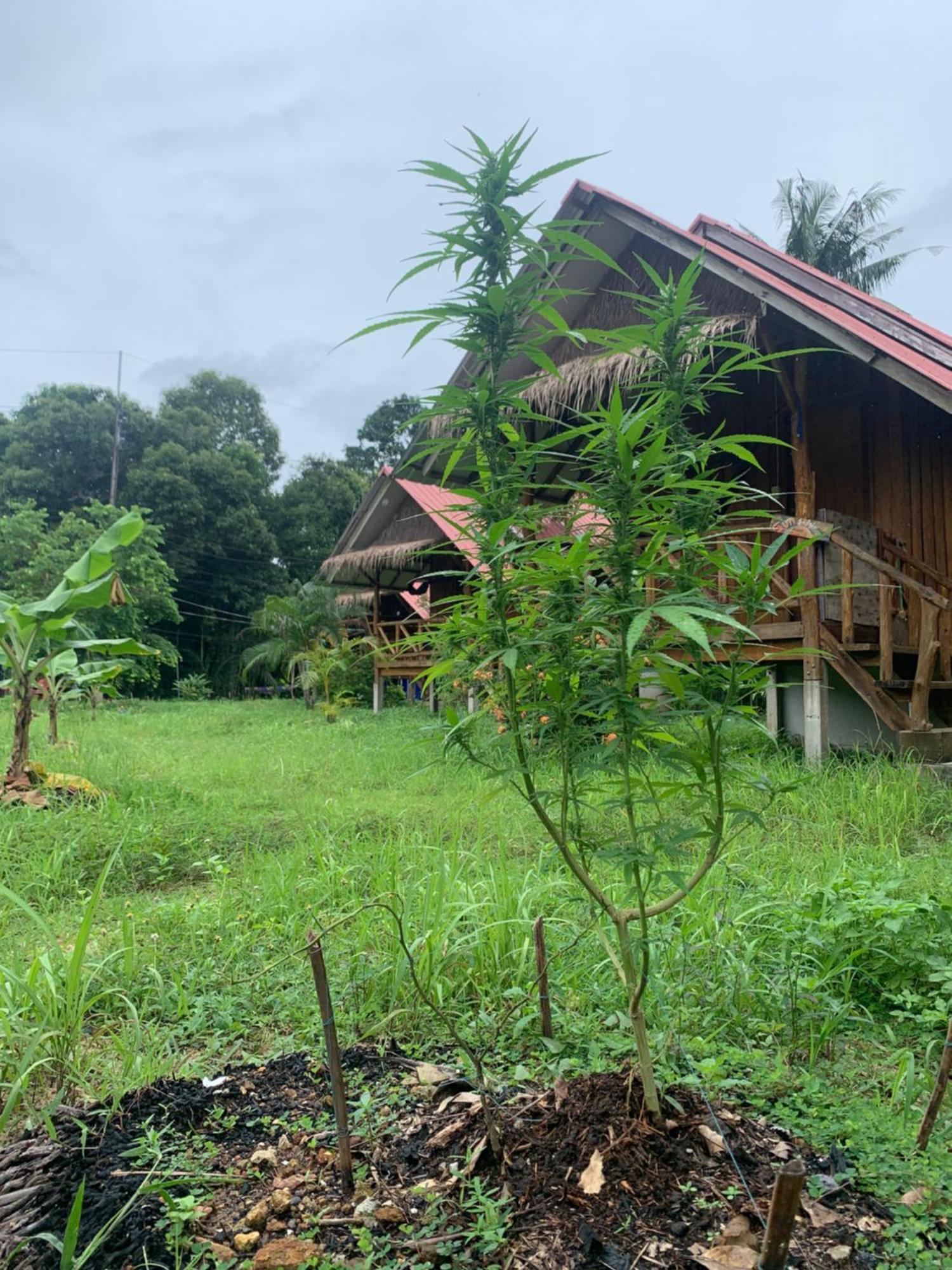 Seree Bungalows & Chill Bar Koh Chang Exterior photo