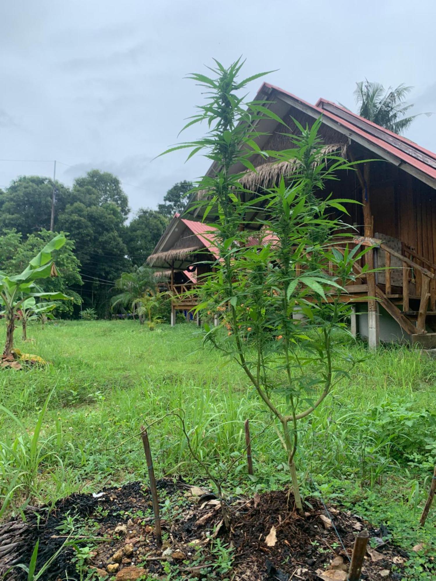 Seree Bungalows Koh Chang Exterior photo